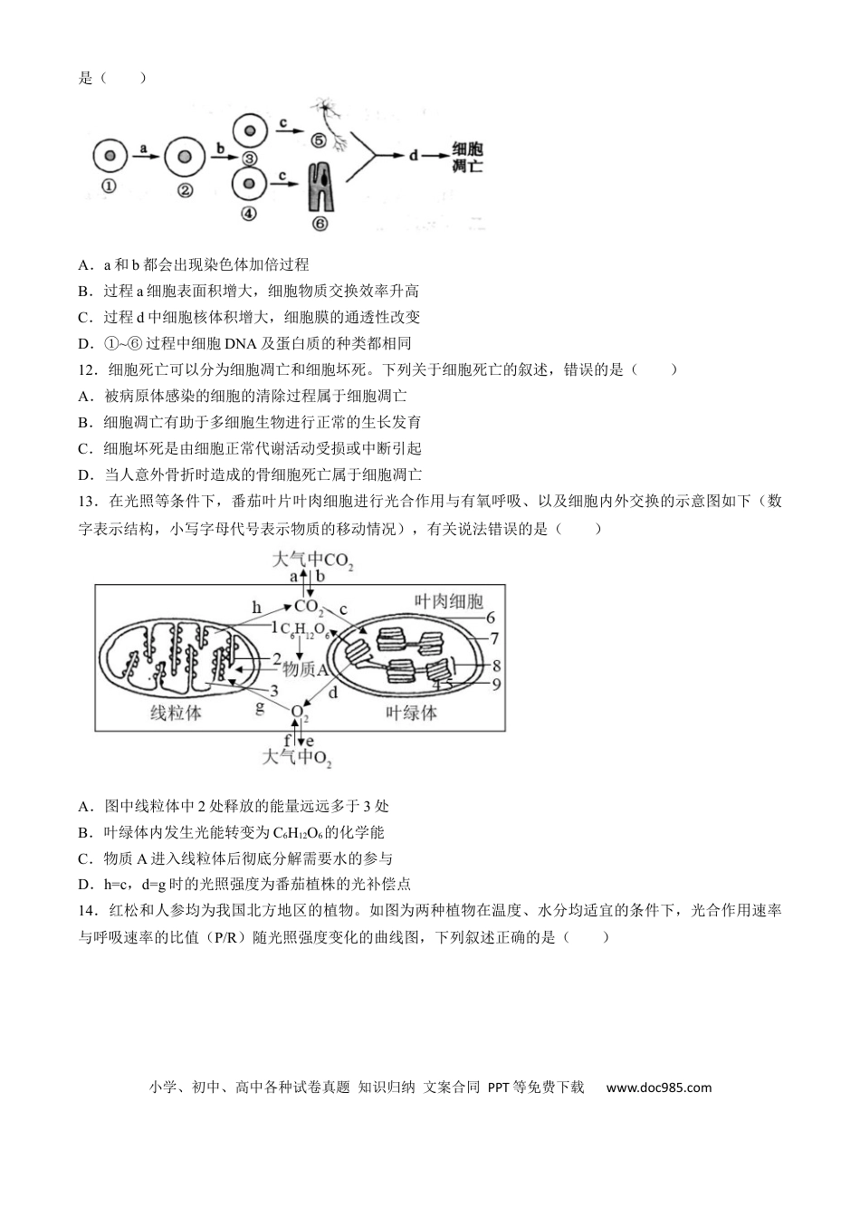四川省成都列五中学2024-2025学年高三上学期入学摸底测试生物试题 Word版含答案(1).docx