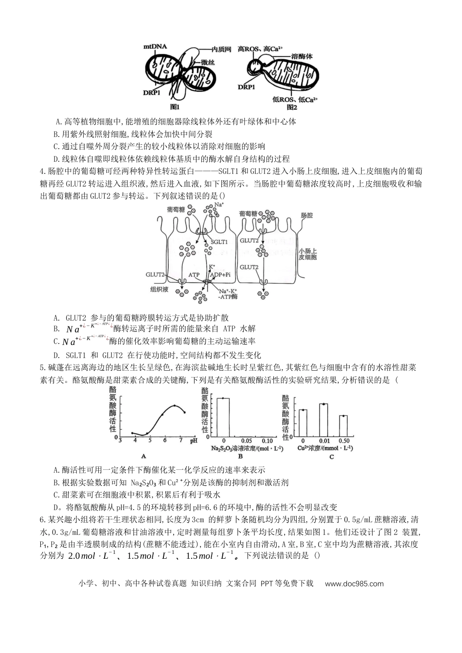 重庆育才中学、鲁能巴蜀中学、万州高级中学高2026届高三10月联合考试生物试题（含答案）(3).docx