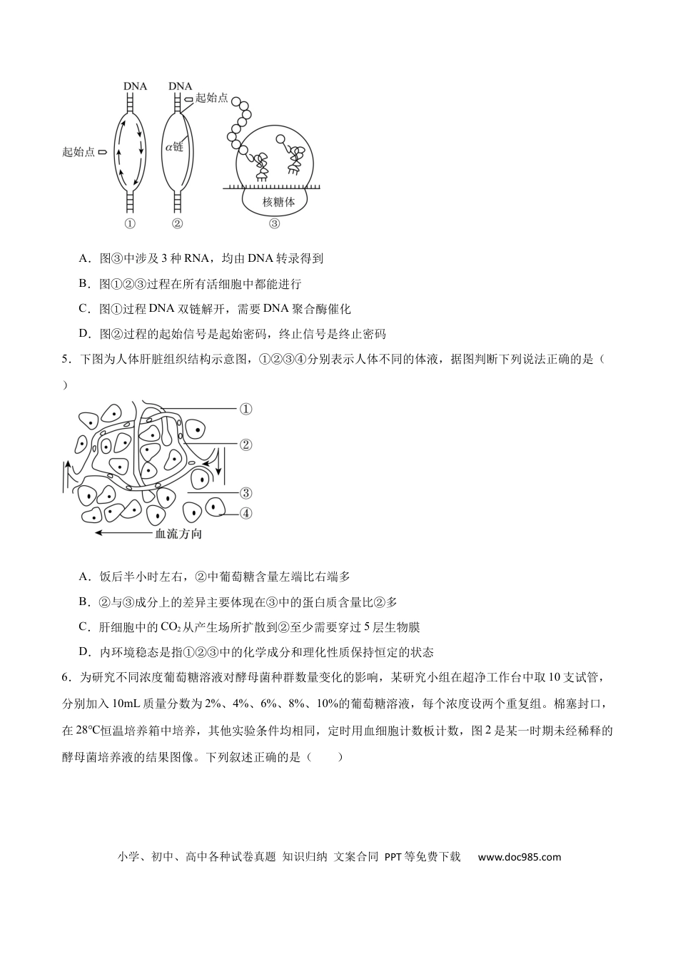 字节精准教育联盟2025-2026学年高三上学期1月期末生物试卷（含答案）(2).docx