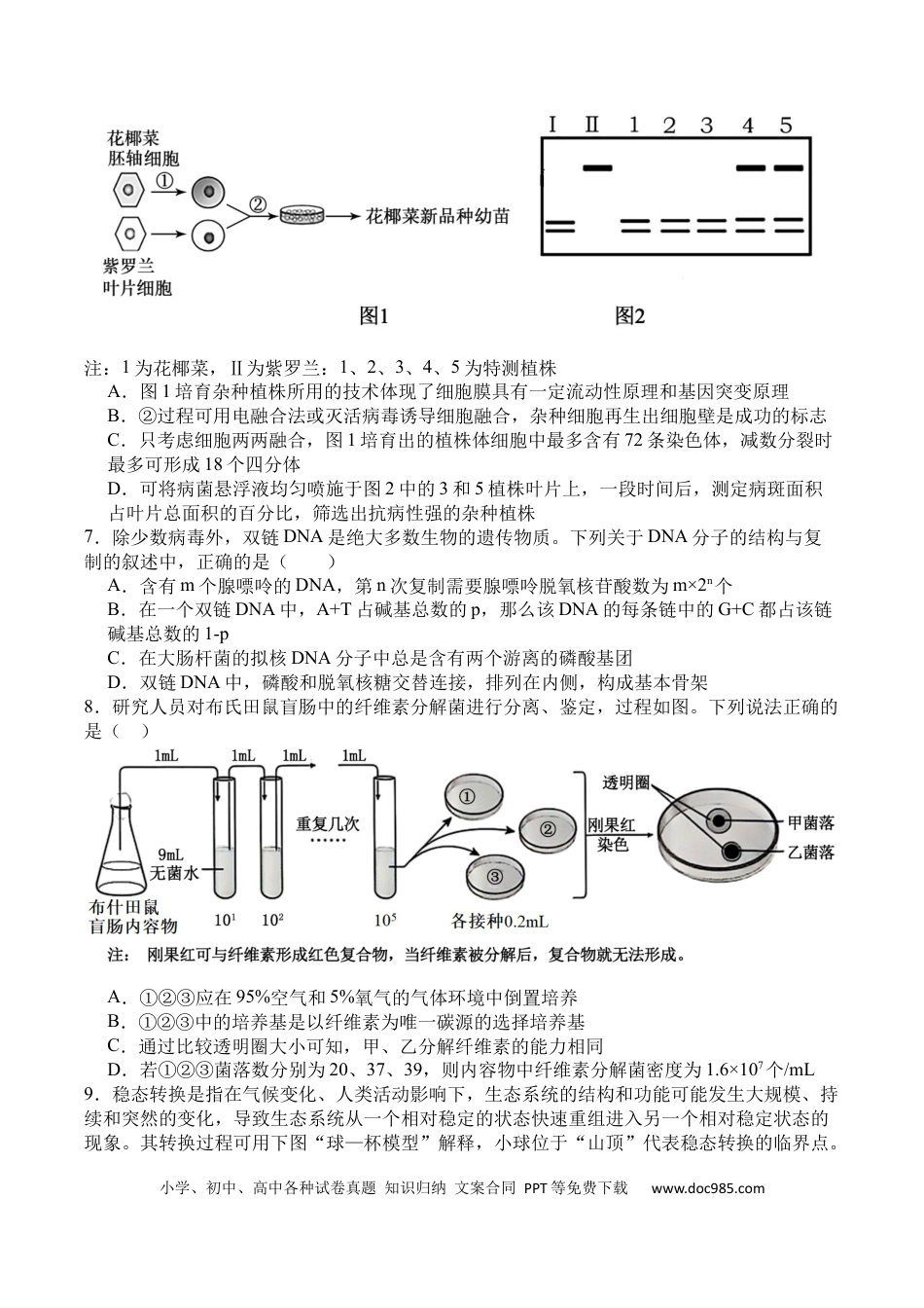 四川省广安市广安区等3地2024-2025学年高二下学期7月期末生物试题(1).docx