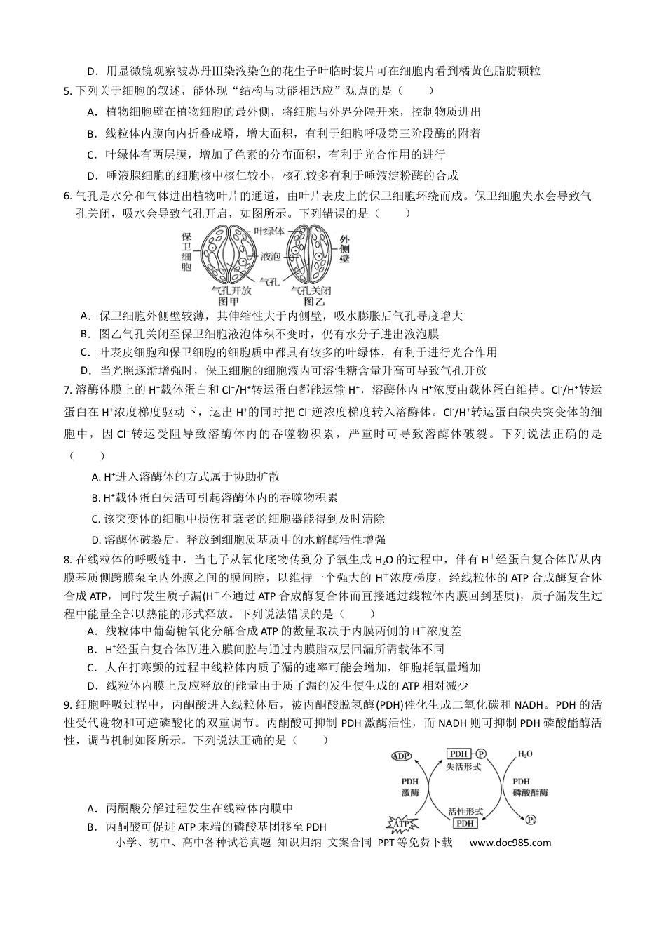 四川省绵阳南山中学2024-2025学年高三上学期9月月考生物试题(1).docx