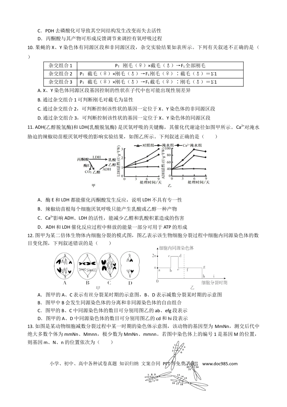 四川省绵阳南山中学2024-2025学年高三上学期9月月考生物试题.docx