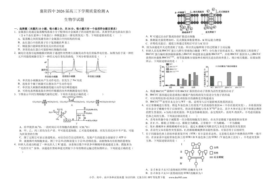 襄阳四中2026届高三下学期质量检测 生物+答案(2).docx