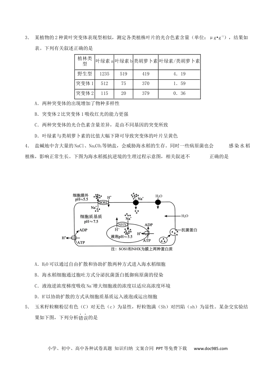 云南省玉溪第一中学2026届高三上学期适应性测试（四）生物 Word版含答案(1).docx