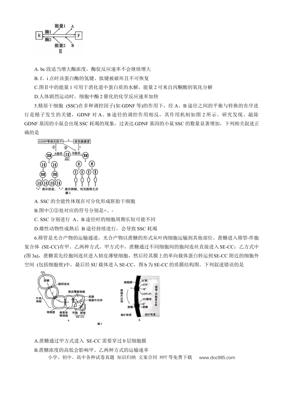 重庆巴蜀中学2026届高三9月适应性月考（二）生物试卷（含答案）(1).docx