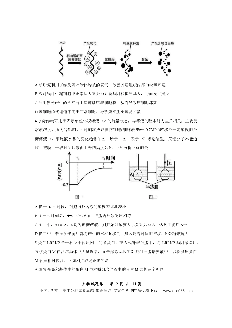 重庆市鲁能巴蜀中学2025-2026学年高三上学期12月月考生物试题.docx