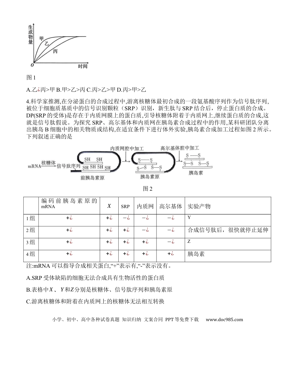 重庆市沙坪坝区重庆市第八中学校2024-2025学年高三上学期9月开学考试生物试题(1).docx