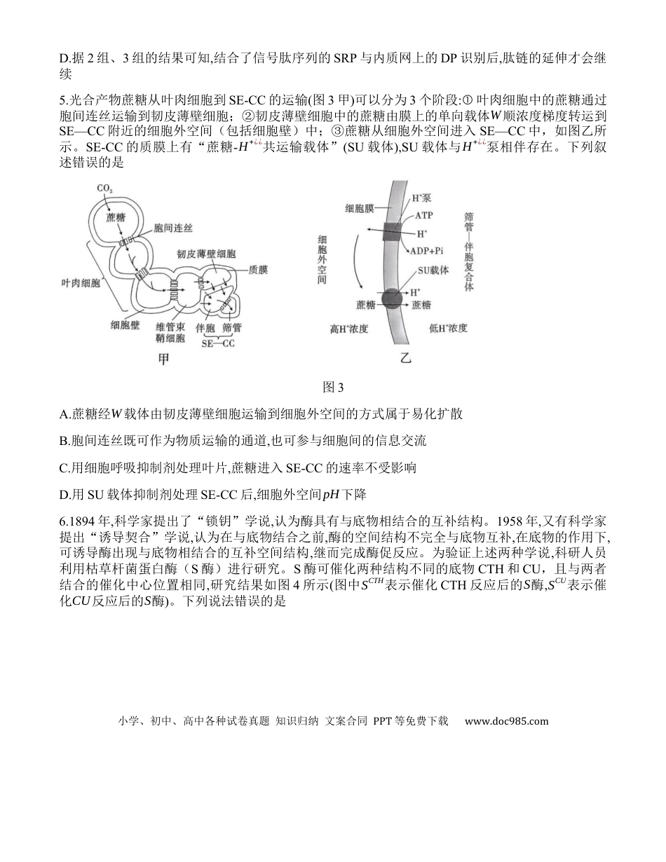 重庆市沙坪坝区重庆市第八中学校2024-2025学年高三上学期9月开学考试生物试题(1).docx