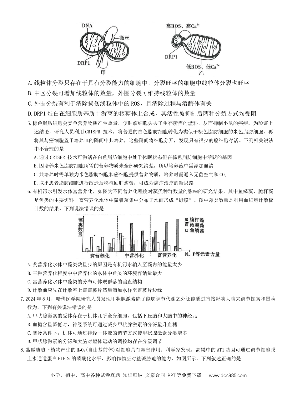 重庆市沙坪坝区重庆市第一中学校2024-2025学年高三下学期3月月考生物试题(1).docx