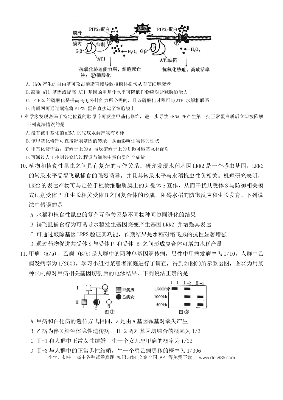 重庆市沙坪坝区重庆市第一中学校2024-2025学年高三下学期3月月考生物试题(1).docx