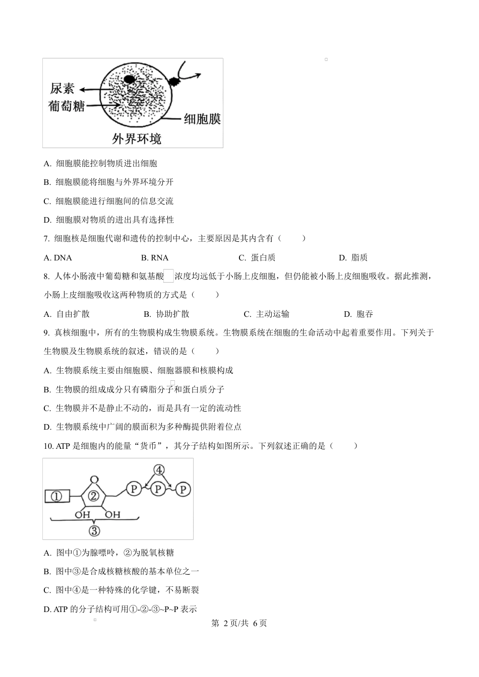 精品解析：泸州市2025-2026学年高一年级上期末质量检测生物试题（原卷版）.docx