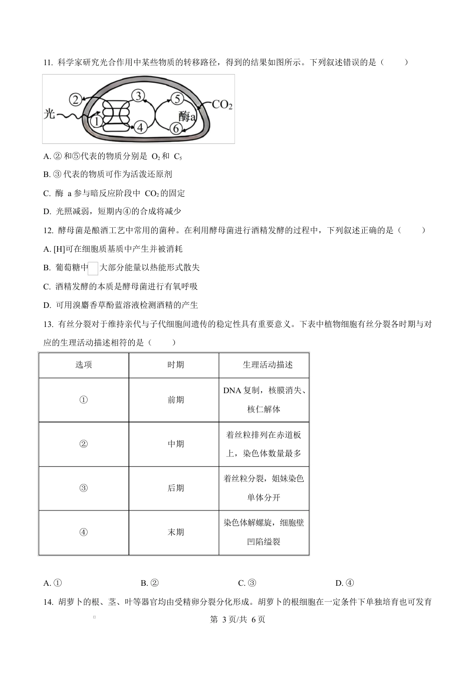 精品解析：泸州市2025-2026学年高一年级上期末质量检测生物试题（原卷版）.docx