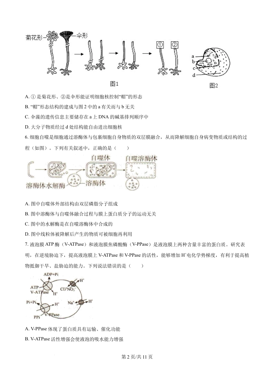 精品解析：辽宁省抚顺市六校协作体2025-2026学年高一上学期期末联考生物试卷（原卷版）.docx