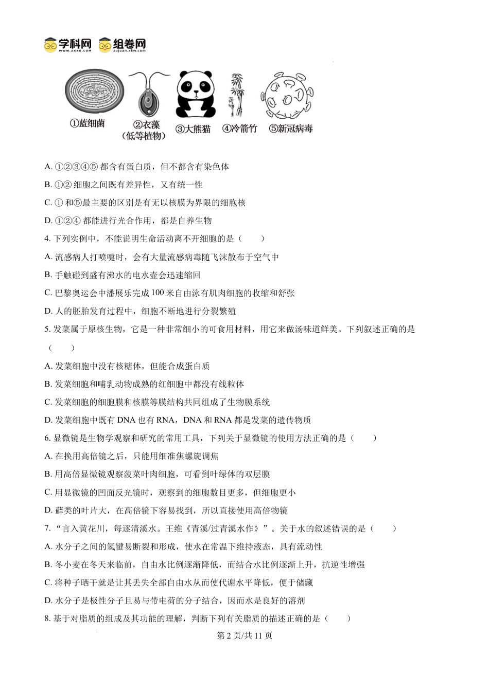 精品解析：广东省佛山市S6高质量发展联盟2024-2025学年高一上学期期中联考生物试卷（原卷版）.docx