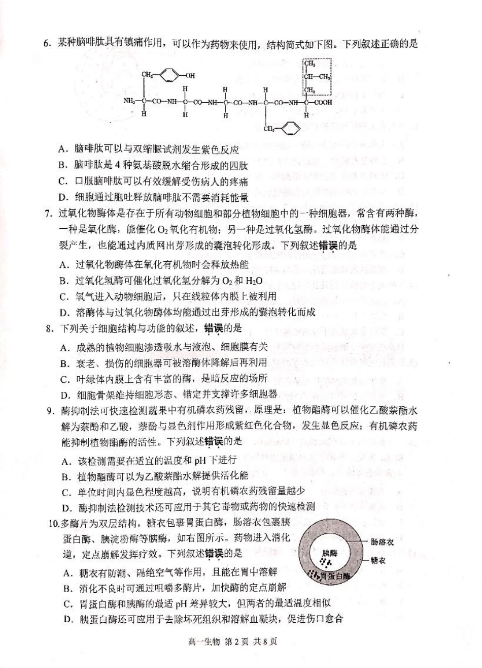 江苏省苏州市2024-2025学年高一上学期1月期末学业阳光指标调研试题 生物 PDF版无答案.pdf