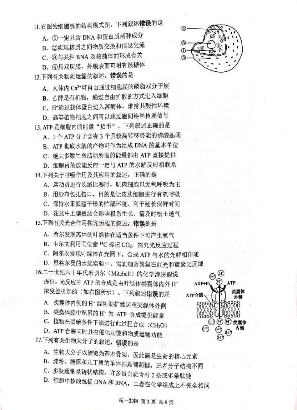 江苏省苏州市2024-2025学年高一上学期1月期末学业阳光指标调研试题 生物 PDF版无答案.pdf