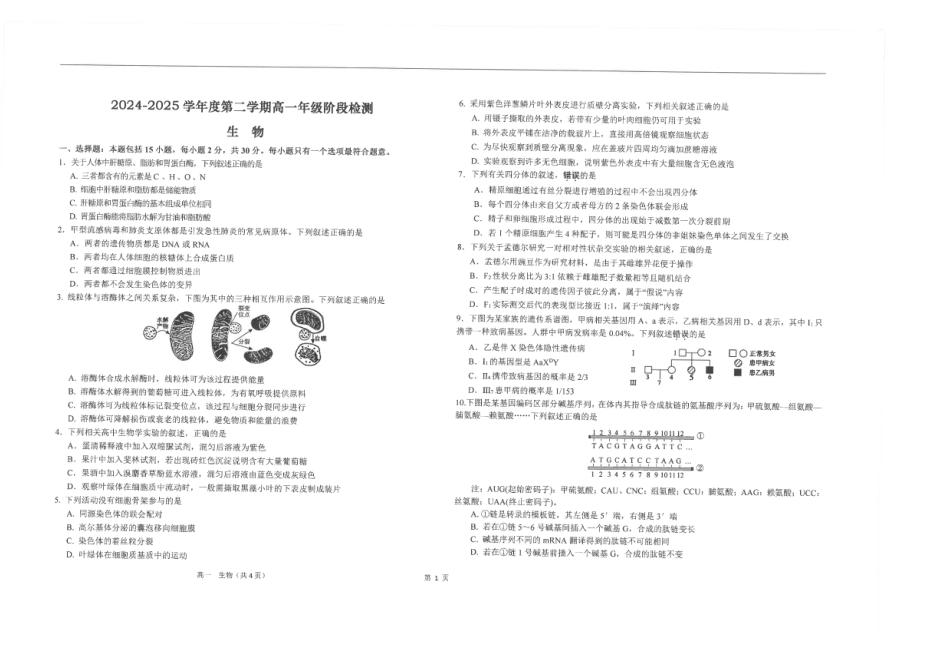 江苏省南通市海安高级中学2024-2025学年高一下学期6月阶段检测生物试卷(图片版含答案).pdf
