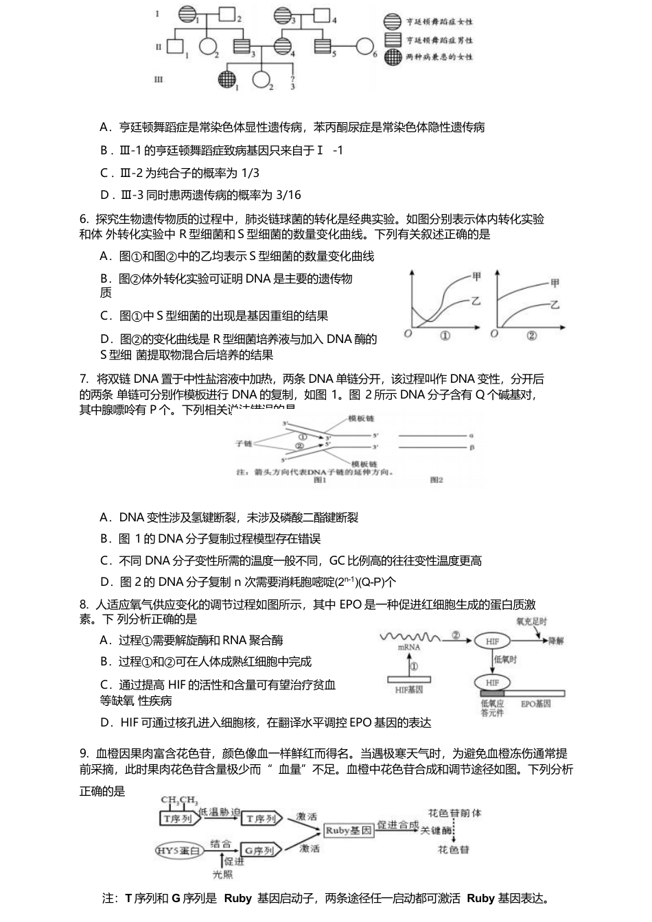 江苏省南京市六校联合体2024-2025学年高一下学期期末调研生物试卷（有答案）.docx