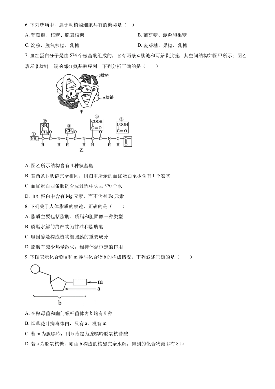 江苏省连云港市东海县2024-2025学年高一上学期期中考试生物试题  Word版无答案.docx