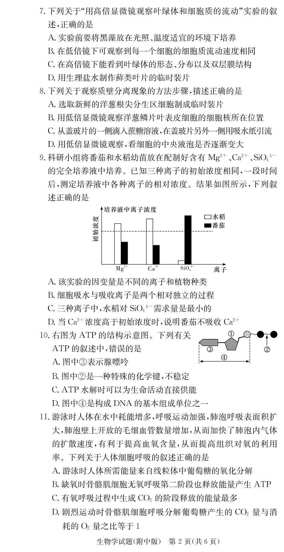 湖南省长沙市湖南师范大学附属中学2024-2025学年高一上学期期末考试生物试题.pdf
