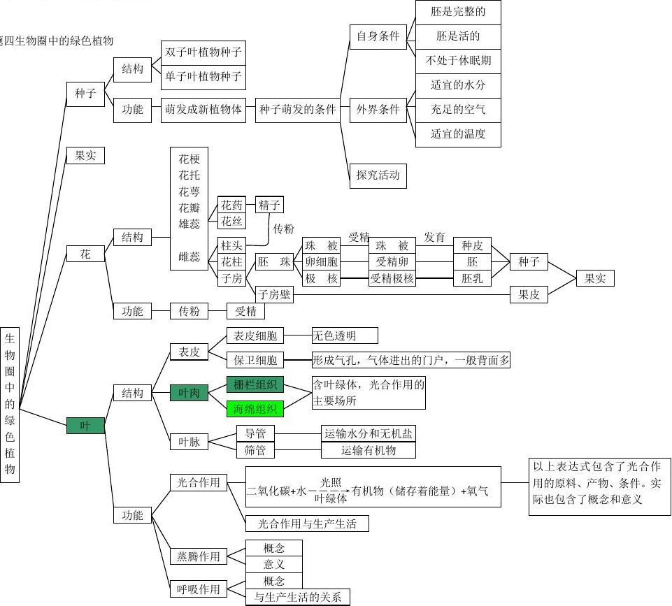 6初中生物思维导图5.jpg