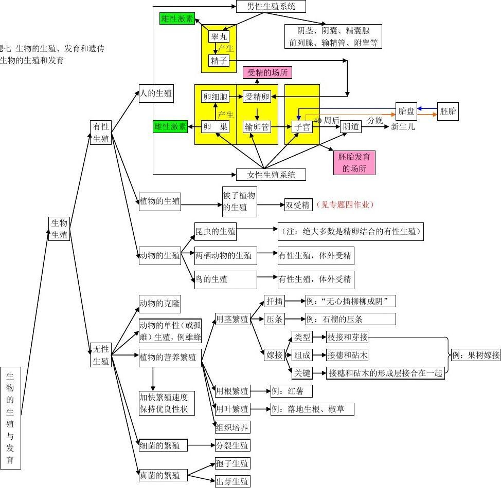 6初中生物思维导图14.jpg
