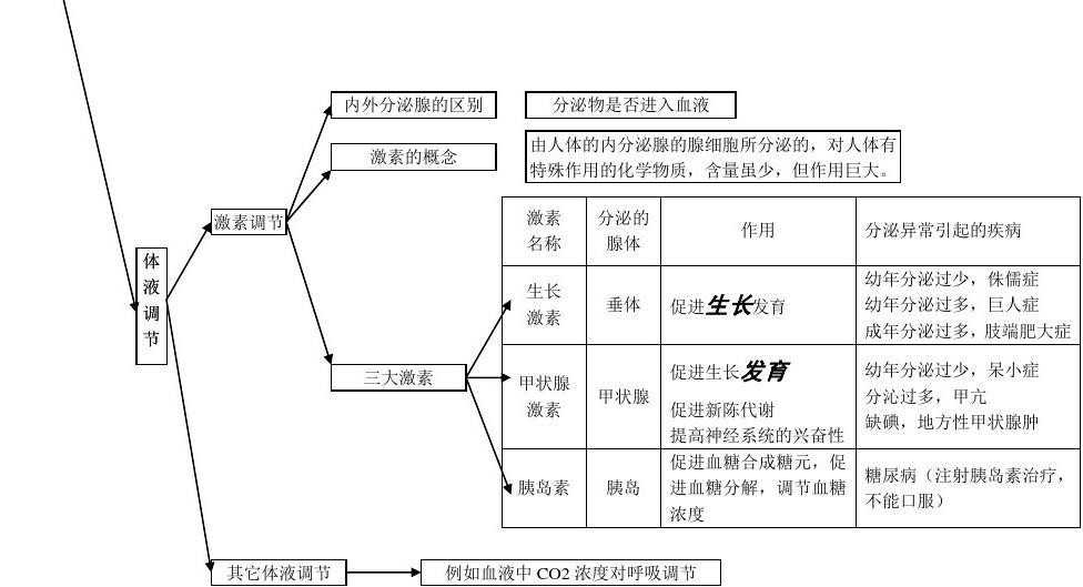 6初中生物思维导图11.jpg