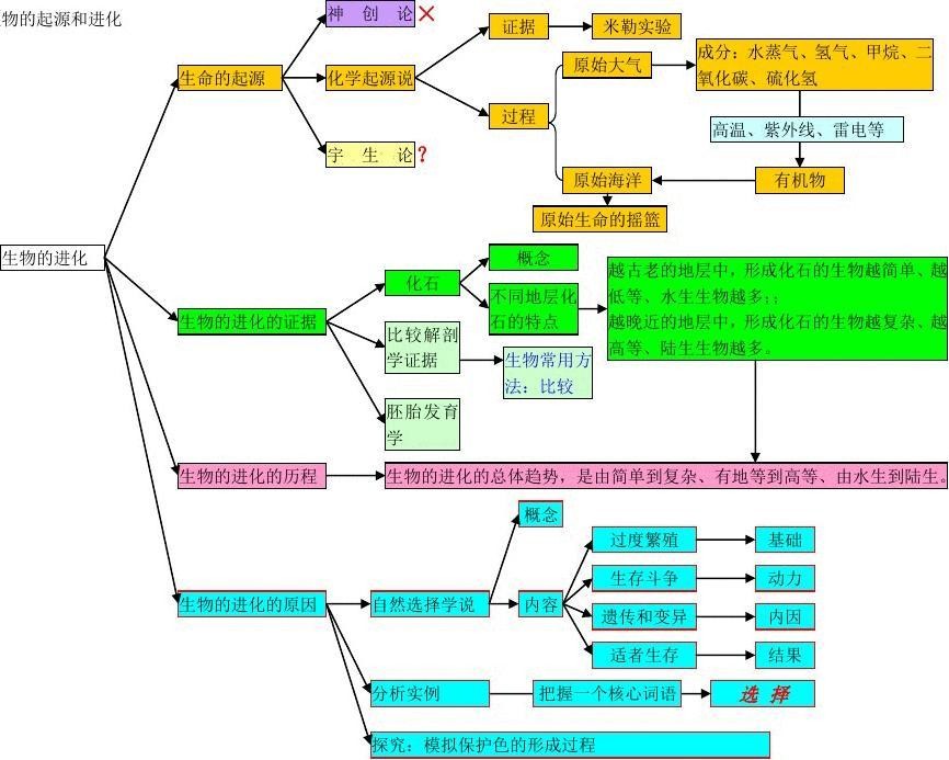 6初中生物思维导图18.jpg