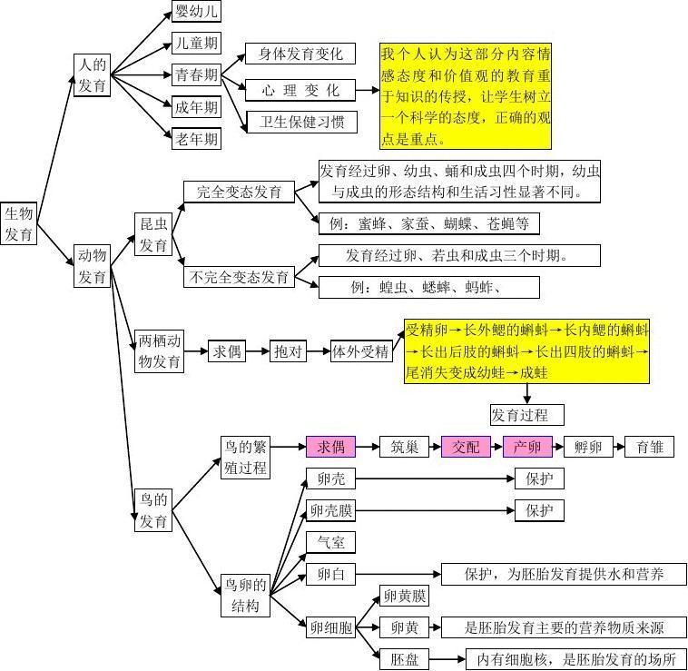 6初中生物思维导图15.jpg
